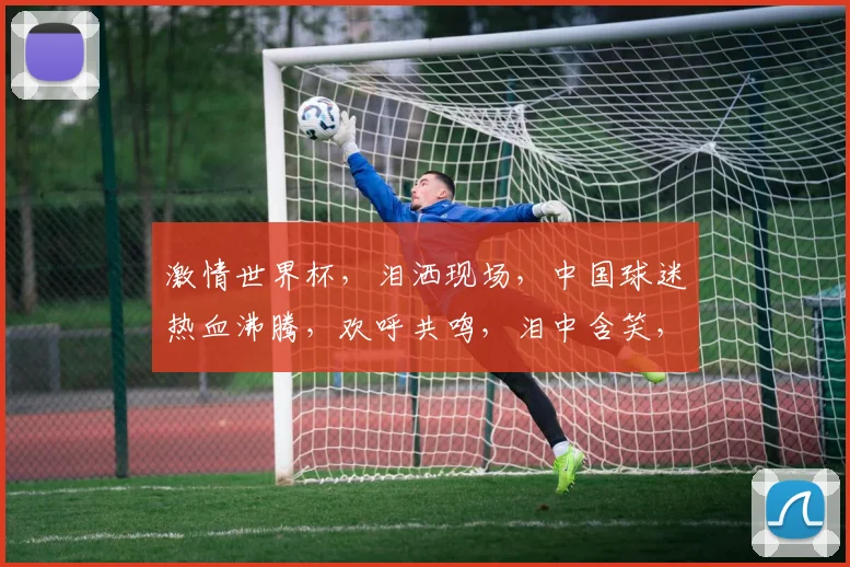 激情世界杯，泪洒现场，中国球迷热血沸腾，欢呼共鸣，泪中含笑，同庆辉煌时刻。