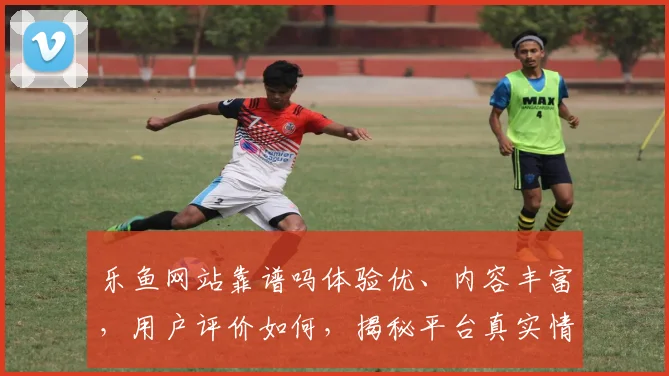 乐鱼网站靠谱吗体验优、内容丰富，用户评价如何，揭秘平台真实情况，一探究竟
