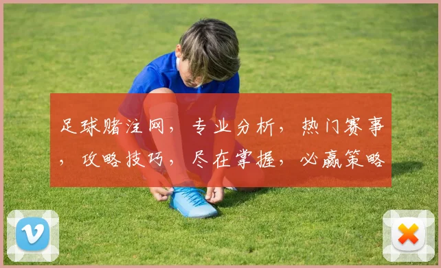 足球赌注网，专业分析，热门赛事，攻略技巧，尽在掌握，必赢策略，一网打尽