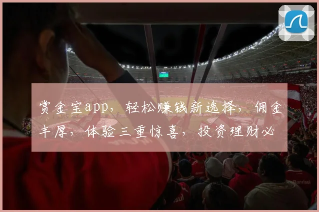 赏金宝app，轻松赚钱新选择，佣金丰厚，体验三重惊喜，投资理财必备