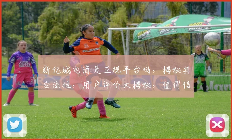 新亿城电商是正规平台吗，揭秘其合法性，用户评价大揭秘，值得信赖吗