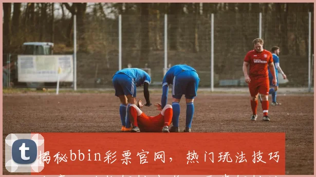 揭秘bbin彩票官网，热门玩法技巧分享，助你轻松中奖，两步轻松注册体验